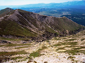 L&rsquo;incassato Fosso di Ortanza chiuso dalla Cresta della Cipollara.
