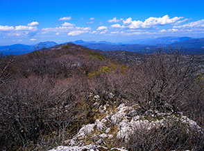 Vista verso il Guardia d&rsquo;Orlando da quota 1378m., il punto pi&ugrave; alto della breve dorsale.