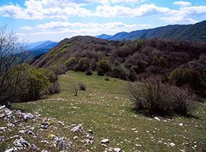 I prati di Sella Tremonti lungo la cresta per Monte Bove.