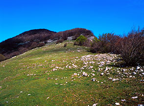 La bella cresta prativa nei pressi di Sella Tremonti.