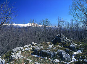 Sulla cima di Monte Guardia d&rsquo;Orlando, sullo sfondo i Monti del Velino.