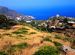 Vista su Torre Santa Maria dalla Cresta Est di Monte Guardia Grande.