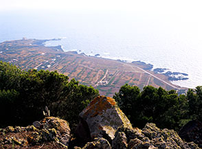 Un tratto della costa occidentale di Ustica visto dalla Guardiola, sul Monte Guardia dei Turchi.
