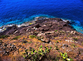 Scarpata lungo la costa orientale di Ustica, nei pressi di Punta Galera.