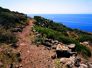 Un tratto del Sentiero di Mezzogiorno (sopra Punta dell&rsquo;Arpa): panoramicissima traversata lungo la costa orientale e meridionale di Ustica.