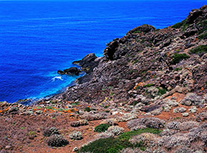 La suggestiva scarpata a Punta Erbe Bianche, sulla costa meridionale di Ustica.
