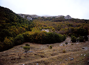 Scorcio ai margini del vasto pianoro alle pendici orientali di Monte Porcini.
