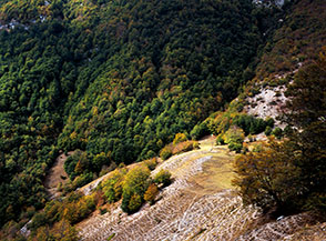 La panoramica collinetta affacciata sulla Valle Scura non distante dal Rifugio Porcini.