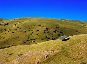 Dolci colline prative alla testata della Valle del Raiale (o Vasto).
