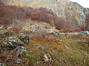 La graziosa radura che s&rsquo;incontra lungo la pista ai piedi della Valle de la Fossetta.