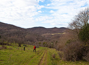 Lungo la pista che da Poggio della Selva cala nel Fosso Caldano.