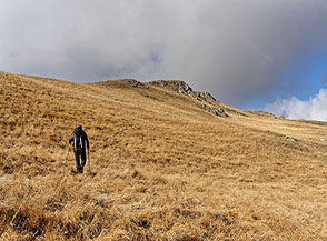 Sui dorati prati sommitali verso la cima del Monte Laghetto.