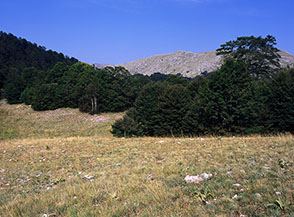 La prativa Sella di Lampazzo.