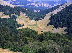 Il Vallone Lampazzo visto dalla sella.