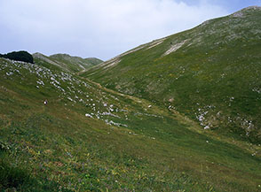 La parte alta del Vallone, sotto Monte le Mucchia.