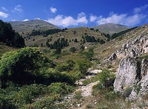 La valle Fossato di Fonte Mach&eacute;.