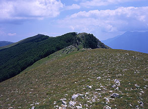 La Cresta Nord-Ovest di Monte Alto.