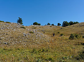 Sui prati sommitali della Valle del Mago.