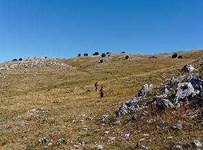Sui prati sommitali della Valle del Mago.