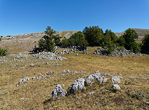 Scorcio nei pressi della cima di Monte Lungo.