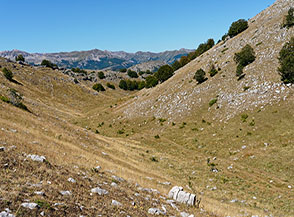La valletta che a nord di Monte Lungo si dirige verso Rovere.