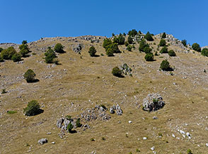 La cresta di Monte Lungo vista dal Vallone dei Puzzilli.