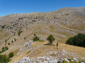 Sulla ripida crestina che ci conduce sulla cima del Monte della Revecena, sullo sfondo gli sconfinati prati della Cresta Nord-Ovest del Sirente.