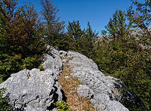 Scorcio sulla cresta sommitale del Monte della Revecena.