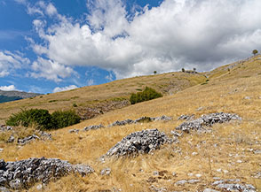 I ruderi di un vecchio stazzo con recinto ci ricordano che per lungo tempo questi pendii furono votati alla pastorizia (Spallone orientale della Majella).
