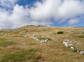 Sul pendio che si risale per portarsi sulla Cresta Sud del Monte Macellaro.