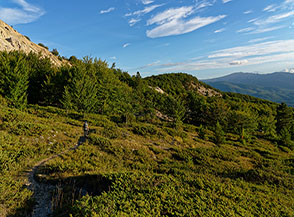 Sul sentiero verso Campo di Giove alle pendici della Tavola Rotonda.