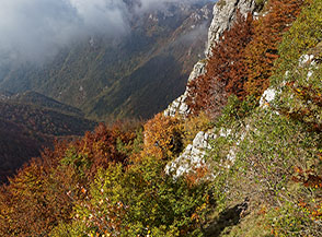 Affaccio sul Vallone del Faggeto nei pressi del Varco Faiostello.