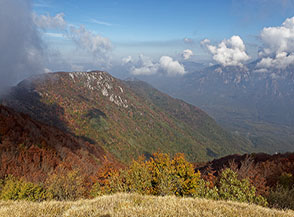 Dalla cima del Monte Mai vista sui boschi che ammantano la testata della Valle della Tornola.