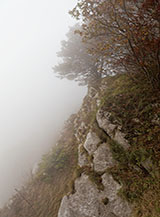 Scorcio nella nebbia alle Serre del Torrione.