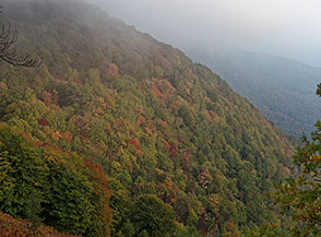 Scorcio sui boschi dell&rsquo;Acqua Carpegna sotto Pizzo San Michele.