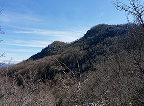 La cima del Monte Maio intravista da una finestra nel bosco.