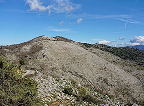 Il Monte Faito ripreso dal Valico di Crisano.