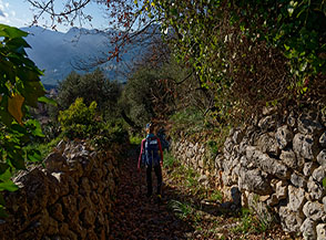 Chiaroscuri lungo l&rsquo;antica mulattiera che dalla Valle Manno porta a Coreno Ausonio.