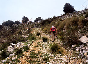 La pista che taglia i fianchi meridionali del Monte Maio verso le Chianare.