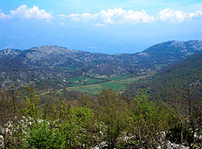 I verdi campi della Vallaurea visti dalla cima di Monte Feuci.