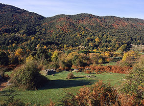 Il Valico di Cona di Selva Piana nei Monti Lepini.