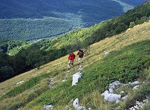 Sui prati alla testata del Vallone Forte.