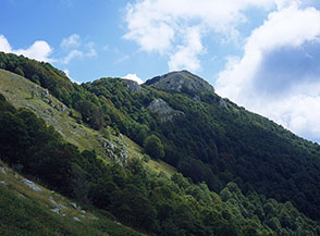 I boschi di Balzo Maiuri sotto la cima di Monte Marcolano.