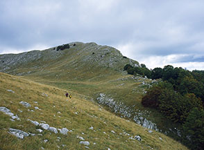 La conca erbosa poco sotto la cima di Monte Marcolano, lato nord.