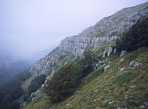 La fascia rocciosa sotto la cima di Monte Prato Maiuri.