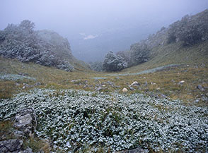 La prima neve ... di fine estate! (sulla cresta di Prato Maiuri).