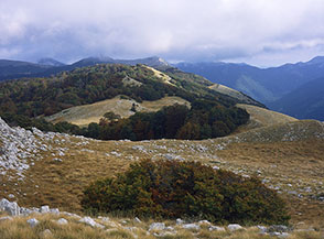 Le bellissime aie prative che si trovano intorno a Monte Fontecchia.