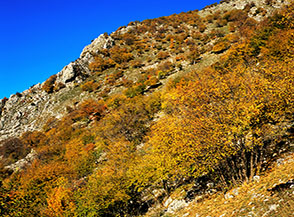 Pendii a boscaglia in localit&agrave; Pescogrosso, alle pendici del Marsicano.