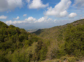 Affaccio sul boscoso Fosso della Rocca.