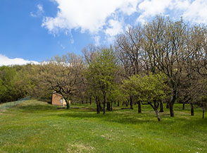 la graziosa area pic-nic che s&rsquo;incontra lungo la via di discesa sul Versante Ovest di Monte Martano.